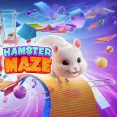 Hamster Maze Online